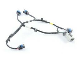 Bare LS Coil Harness